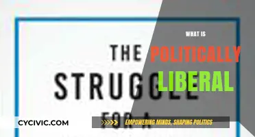 Understanding Political Liberalism: Core Values, Principles, and Modern Implications