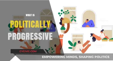 Understanding Progressive Politics: Core Values, Policies, and Societal Impact