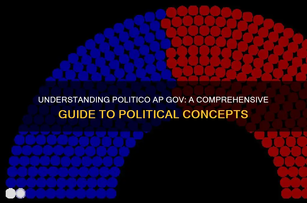 what is politico ap gov