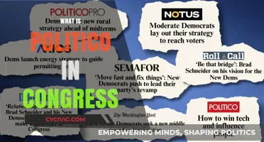Understanding Politico's Role and Influence in the U.S. Congress