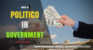 Understanding Politico: Its Role and Influence in Government Systems