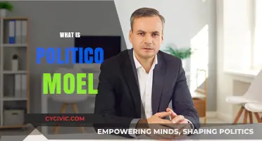 Understanding the Politico Model: A Comprehensive Guide to Its Functionality