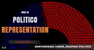 Understanding Politico Representation: Roles, Responsibilities, and Real-World Impact