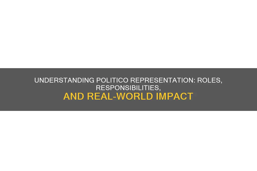 what is politico representation