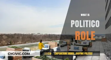 Understanding the Politico Role: Functions, Influence, and Impact in Society