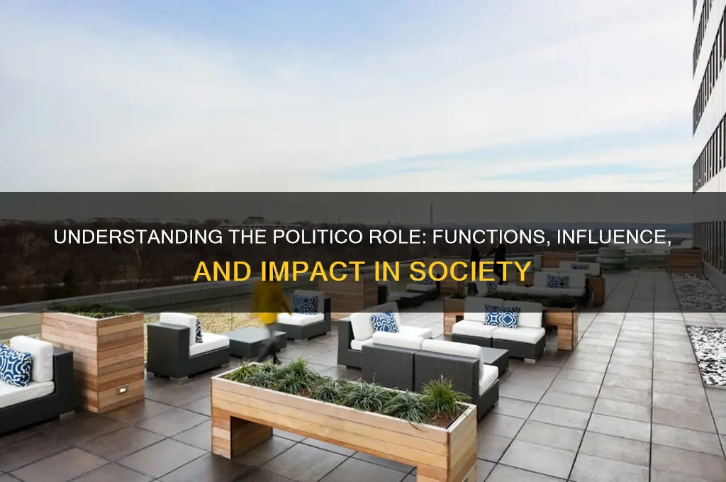 what is politico role