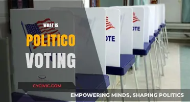 Understanding Politico Voting: A Comprehensive Guide to Its Role in Elections