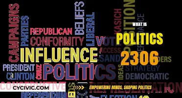 Understanding Politics 2306: A Comprehensive Guide to Modern Political Dynamics