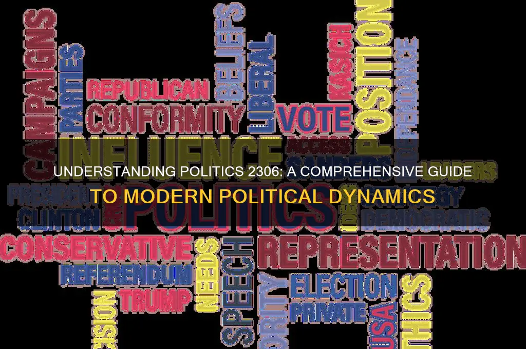 what is politics 2306