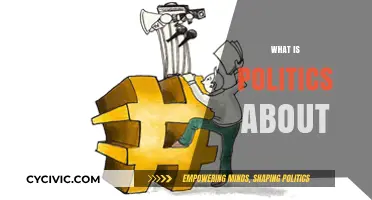 Understanding Politics: Power, Governance, and Society's Complex Dynamics Explained