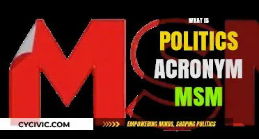 Understanding Politics: Decoding the MSM Acronym and Its Media Influence