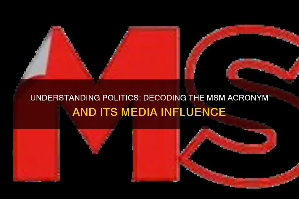 what is politics acronym msm