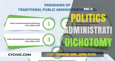 Understanding the Politics-Administration Dichotomy: Theory, Debate, and Impact