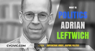 Understanding Politics Through Adrian Leftwich's Lens: A Comprehensive Overview