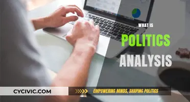 Understanding Politics Analysis: Key Concepts, Methods, and Real-World Applications