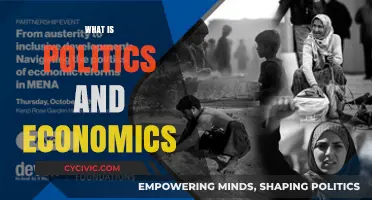 Understanding Politics and Economics: Foundations, Interactions, and Real-World Impact
