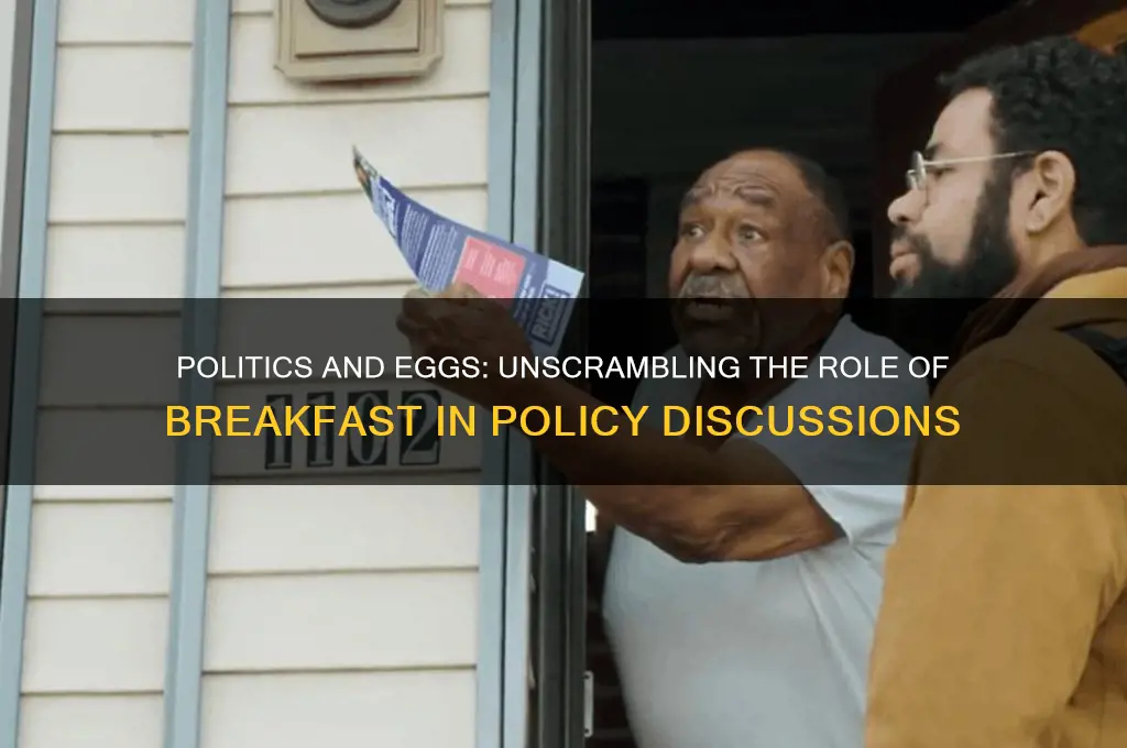 what is politics and eggs