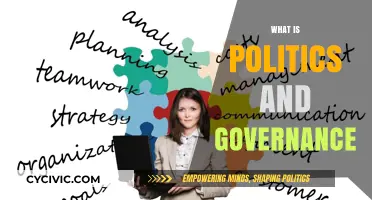 Understanding Politics and Governance: Power, Policy, and Public Leadership Explained