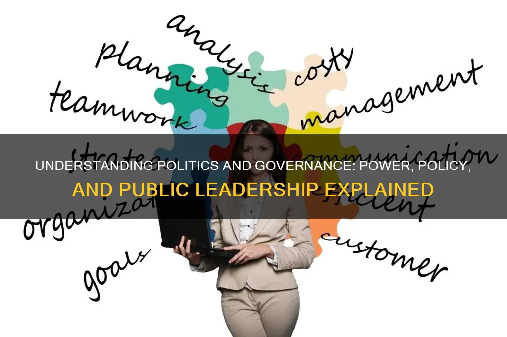 what is politics and governance