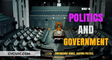 Understanding Politics and Government: Power, Policies, and Public Life Explained