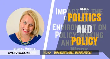Understanding Politics and Policy: Definitions, Roles, and Real-World Impact