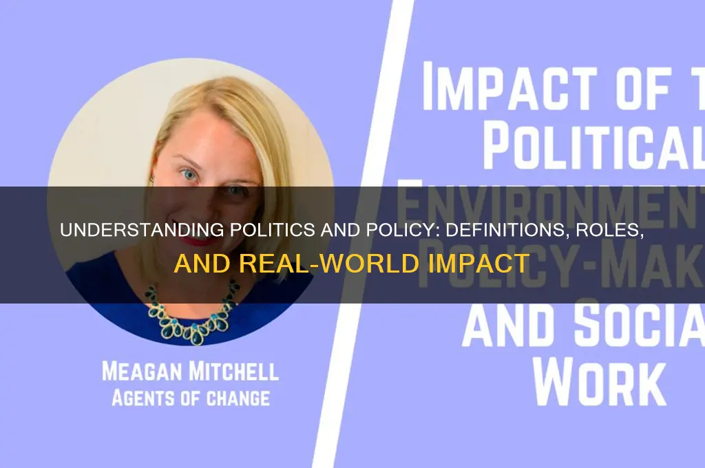 what is politics and policy