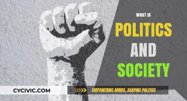 Understanding Politics and Society: Dynamics, Influence, and Interconnected Roles