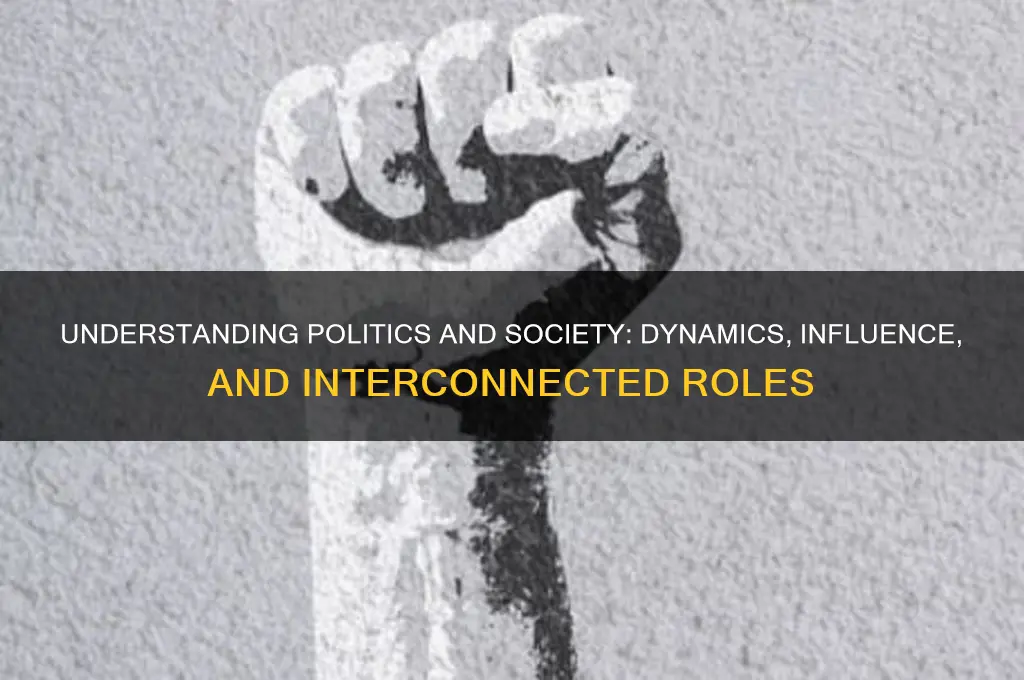 what is politics and society