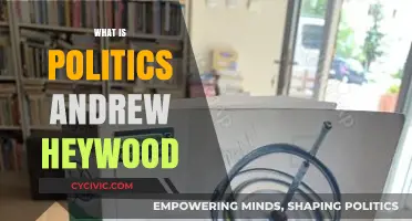 Understanding Politics: Andrew Heywood's Comprehensive Definition and Insights