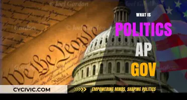 Understanding Politics: A Comprehensive Guide to AP Government and Politics