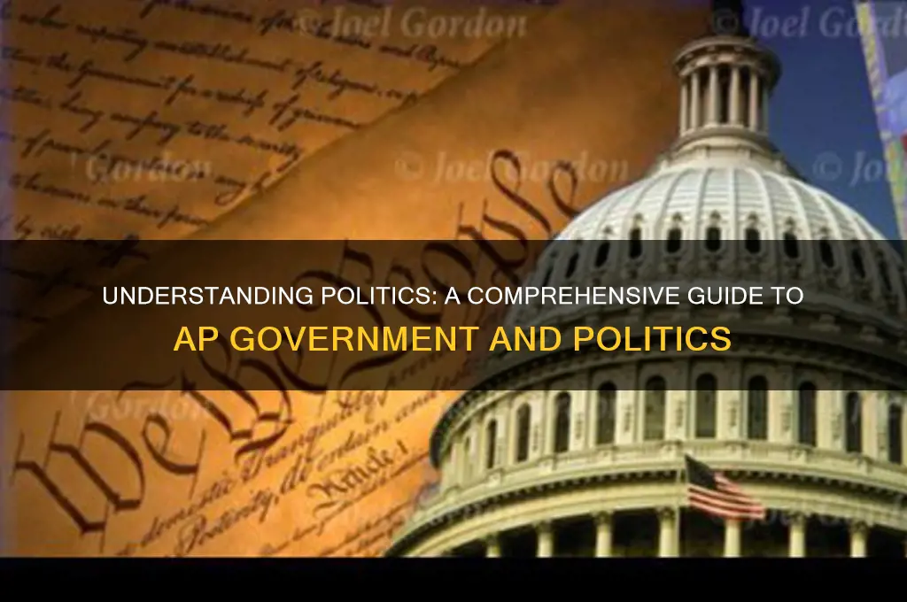 what is politics ap gov