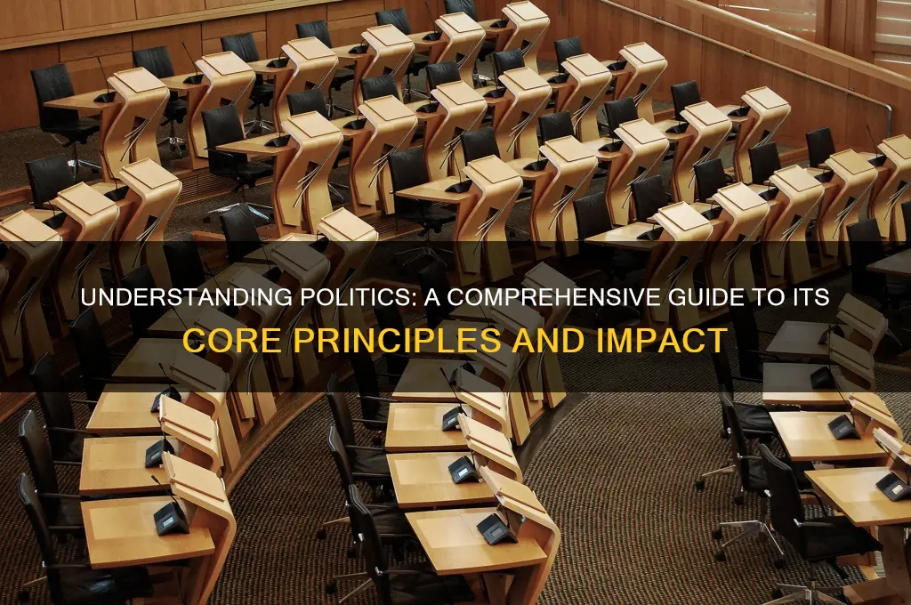 what is politics article