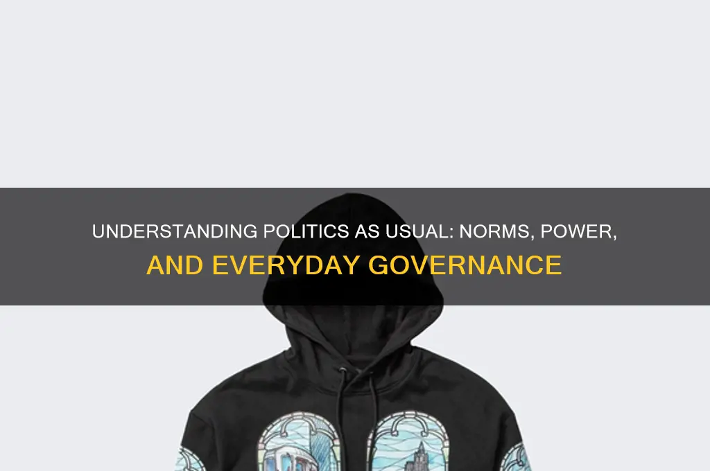 what is politics as usual