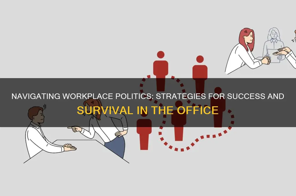 what is politics at work