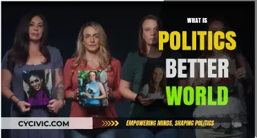 Politics for a Better World: Shaping Society Through Governance and Action