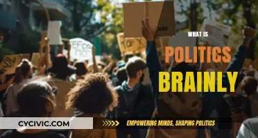 Understanding Politics: A Comprehensive Guide to Its Meaning and Impact
