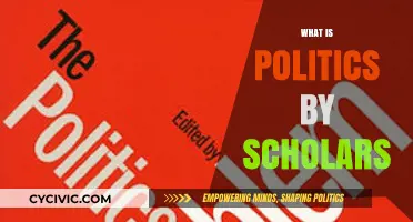 Scholars Define Politics: Exploring Theories, Definitions, and Perspectives