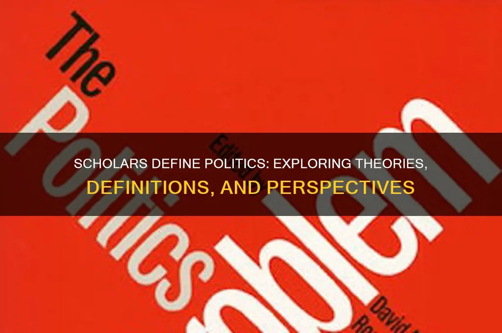 what is politics by scholars