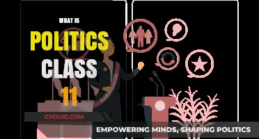 Understanding Politics: A Comprehensive Guide for Class 11 Students