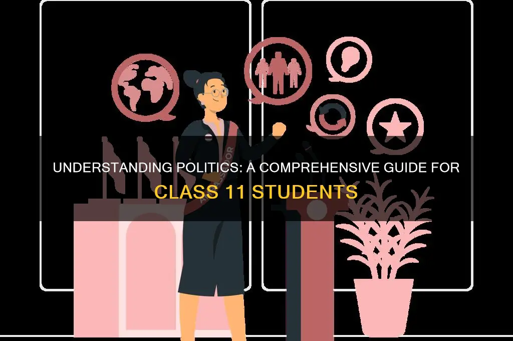 what is politics class 11