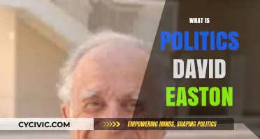 Understanding Politics: David Easton's Definition and Its Modern Relevance