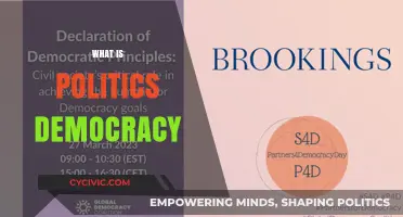 Understanding Politics and Democracy: Principles, Practices, and Global Impact