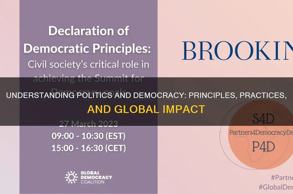 what is politics democracy