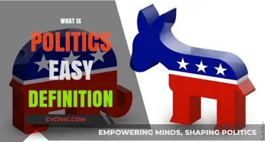 Understanding Politics: A Simple, Clear, and Easy Definition Explained
