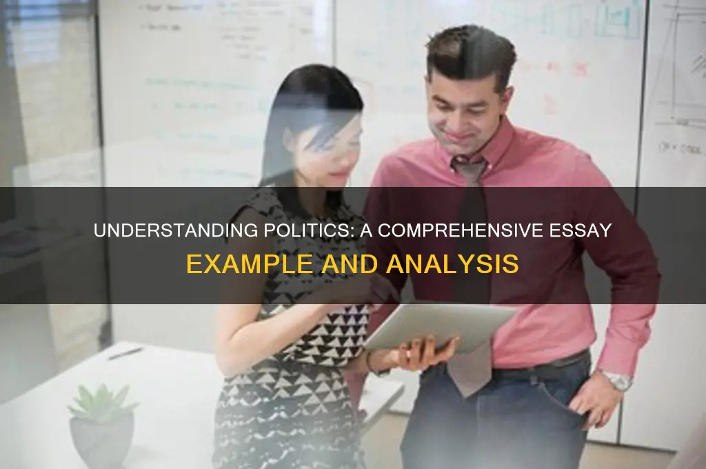 what is politics essay example