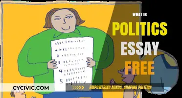 Understanding Politics: A Free Essay Guide to Its Core Concepts
