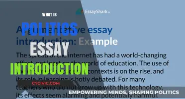 Understanding Politics: Crafting a Compelling Essay Introduction Guide