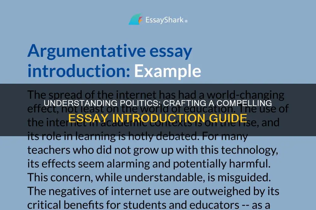 what is politics essay introduction