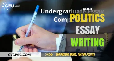 Mastering the Art of Politics Essay Writing: Tips and Strategies