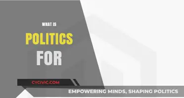 Understanding Politics: Purpose, Power, and Public Good Explained